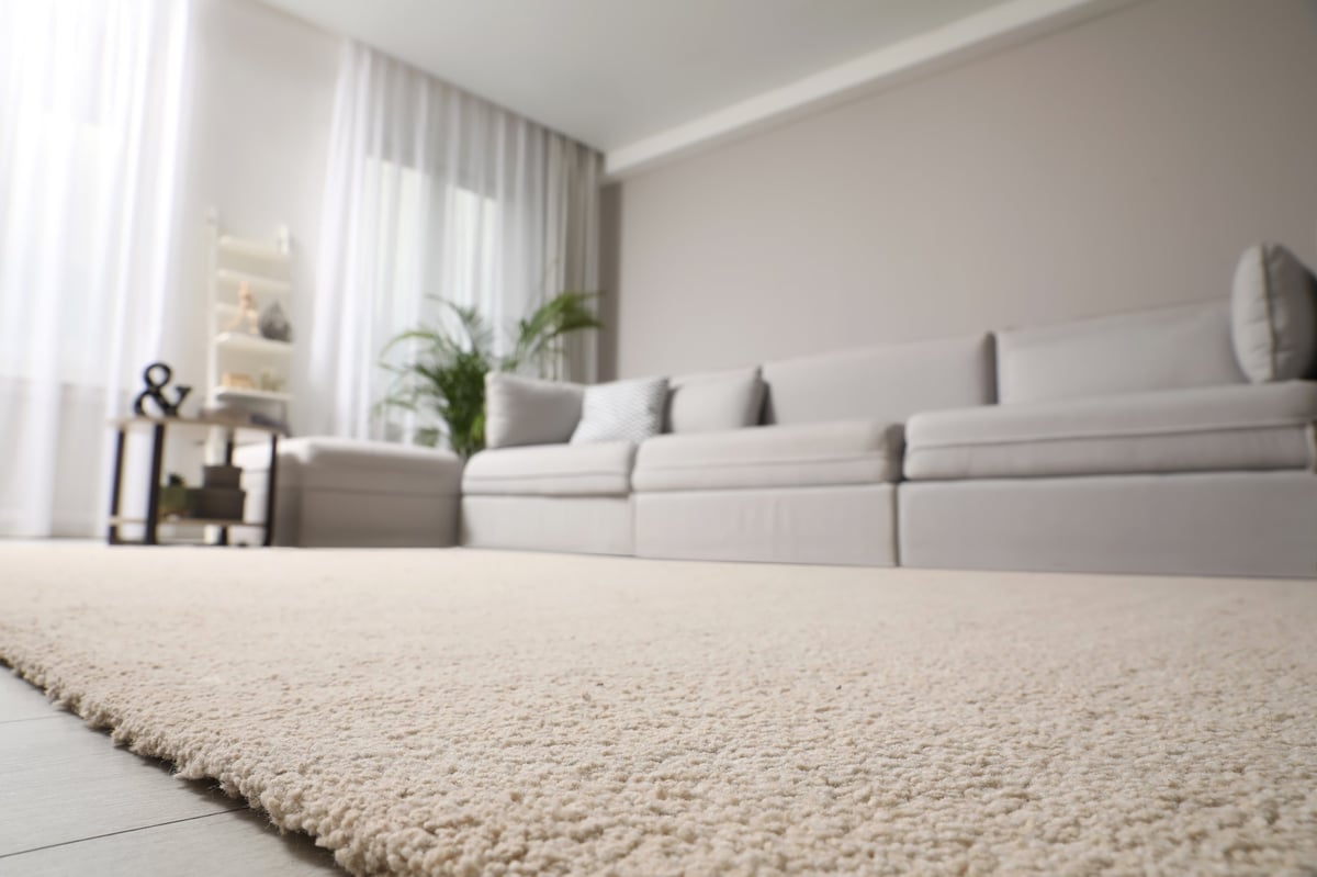 Beautiful clean carpet in modern living room